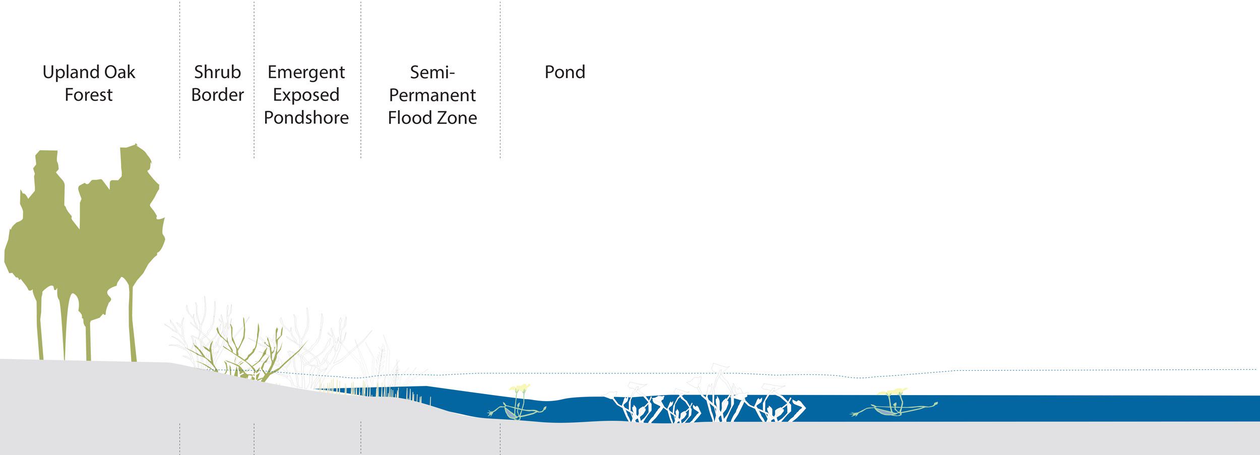 Design and Infrastructure Plan, Hyannis, Cape Cod