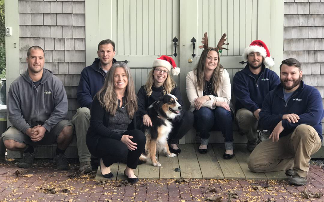 Happy Holidays from Offshoots!