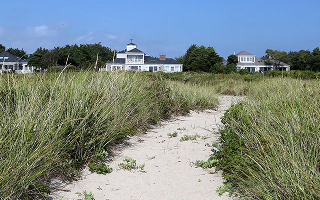 Salt-Tolerant Coastal Garden
