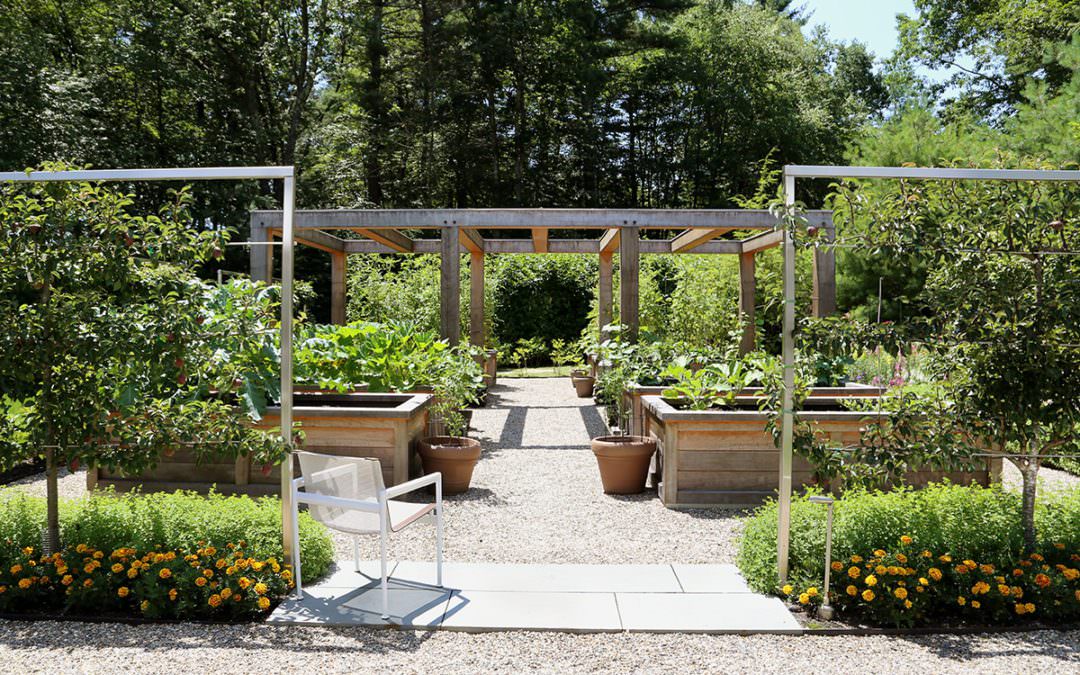 Project Highlight – Possibilities for an Entirely Edible Garden