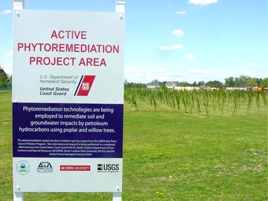 PHYTO – Case Study – Petroleum – US Coast Guard Former Fuel Storage Facility