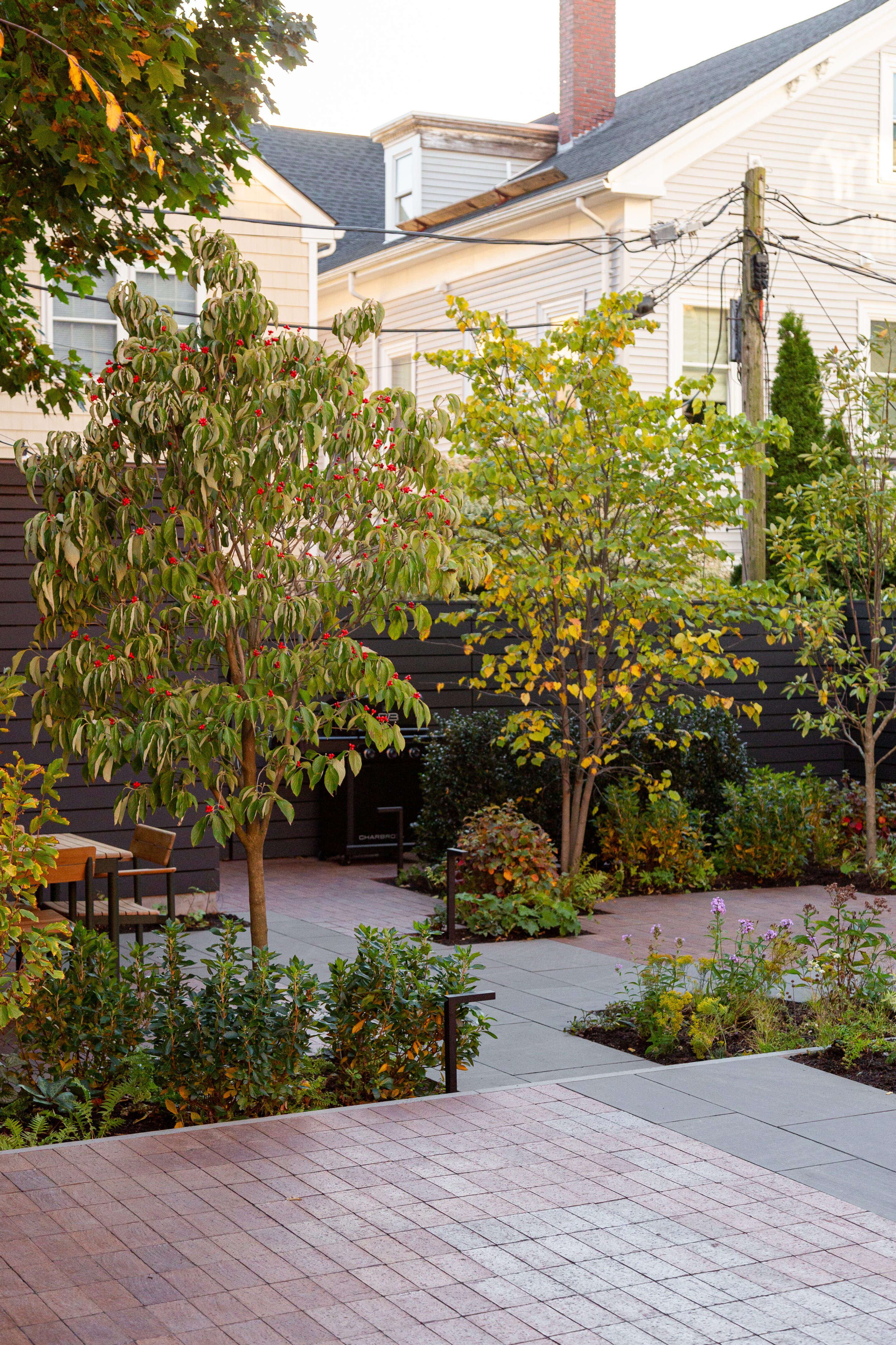 South End Courtyard - Offshoots